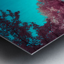 Delaware Dreaming: Ruby Pond Metal print