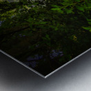 Whispers at Waters Edge Metal print