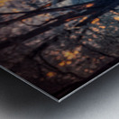 Purple Roots Impression metal