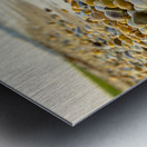 Peebles by the Shore: Slaughter Beach Delaware Metal print