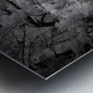 Infrared Killens Metal print