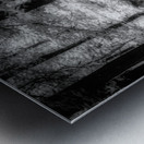 Killens Path: Serene Infrared Passage Metal print