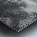 Stillness Captured: Abbotts Pond Impression metal