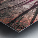 Blushing Path Metal print