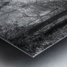 Killens Swamp Impression metal