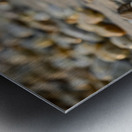 Slaughter Beach Serenity Metal print