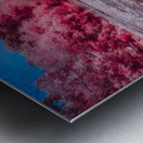 Ruby Pond Metal print