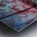 Killens Bridge Metal print