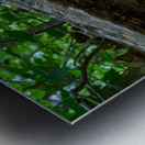 Delaware Fungi: A Sheltered Mushroom Metal print