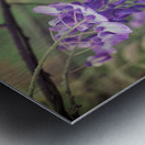 Full Spectrum Flowers Metal print