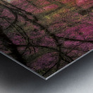 Echoes of Time: Infrared Memories Metal print