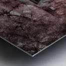 Louisiana Fishing Shack-3 Metal print