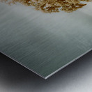 St Bernards Oak Metal print