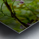 Purple Flowers Hanging Down Metal print