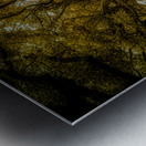 Saint Bernards Tree Road Impression metal