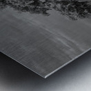 Lone Tree in Saint Bernards-1 Impression metal