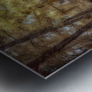 Louisiana Hunting Lodge Metal print