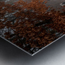 Confederate Rain Metal print