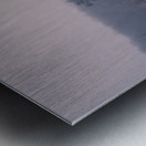 Chestnut Metal print