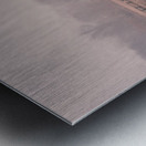 Hazel Field Metal print