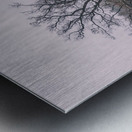 Over the Hill Metal print