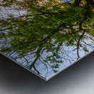 Sunset at Sachs Metal print