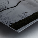 Stoney Fence Metal print