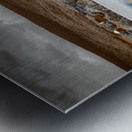 Infrared Fenceline Metal print