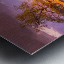 Sunset Fence Impression metal