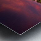 Sunset along a fence Metal print