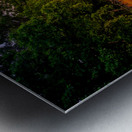 Herps woods Sunset Metal print