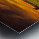 Fenceline Sunset Metal print