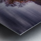 Autumns Guardian Metal print