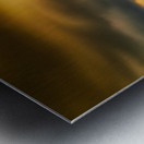 Solitude in the Storm Metal print