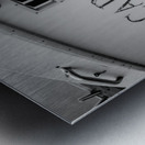 Nautical Noir: Carpe Diem Metal print