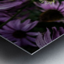 Loris Flowers - 4 Metal print