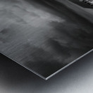 Infrared Field  Metal print