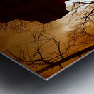 Fiery Irish: A Gothic Tribute at Gettysburg National Military Park Metal print