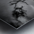 Coastal Sentinel Impression metal