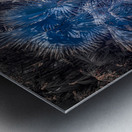 Natures Infinity Metal print