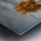 Palm Guards Metal print