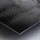 Bald Point Lone Tree Metal print