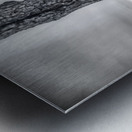 Rooted in Sand Metal print