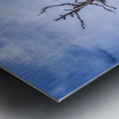 Coastal Sentinels Last Watch Metal print