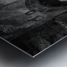 Archway Ruins: Bulow Plantation Metal print