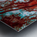 Enchanted Southern Grove: Bulow in Infrared Metal print