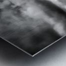 Ghosts of the Shoreline: Dead Tree Footprints Metal print