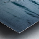 Oceans Driftwood Sentinel Metal print