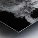 Neutral Trees Metal print