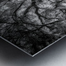 Traceys Tranquil Haven Metal print